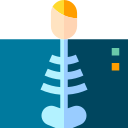 Digital X-ray