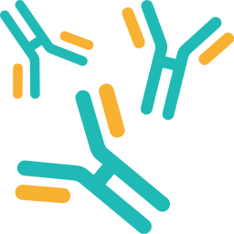 Serology / Elisa